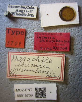 Media type: image;   Entomology 15709 Aspect: labels